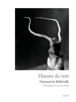 cover image of Histoire du vent